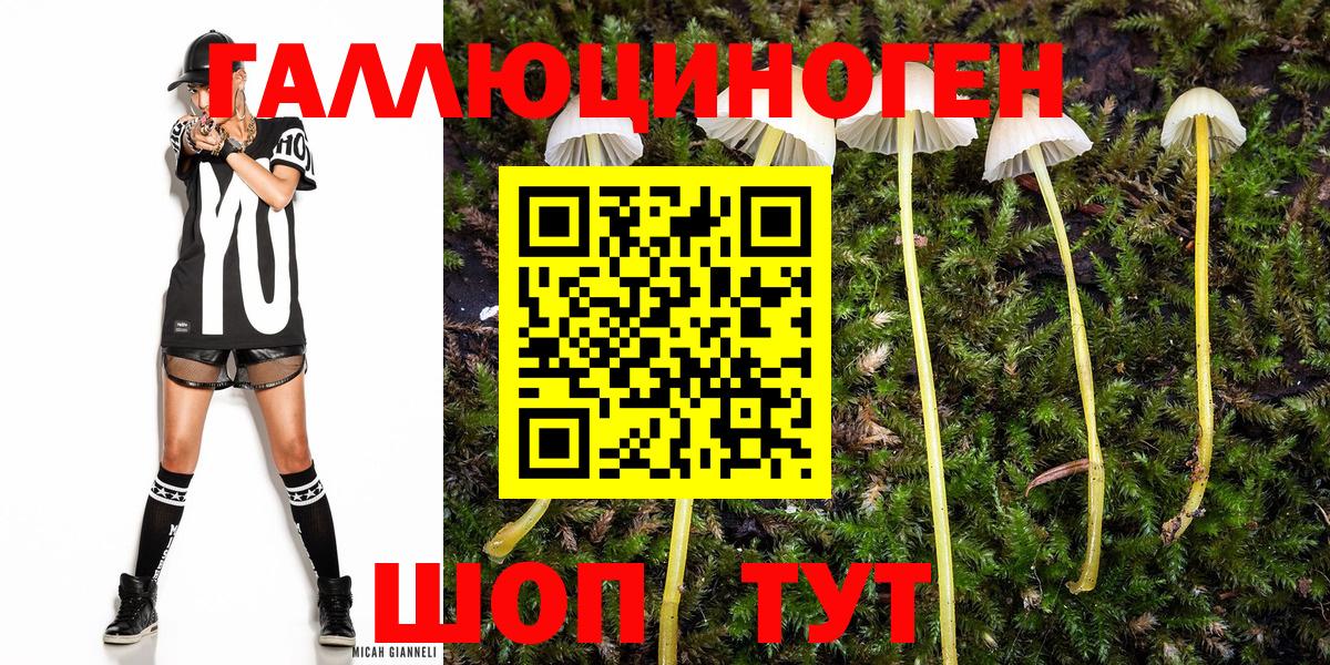 Галлюциногенные грибы мицелий Семилуки