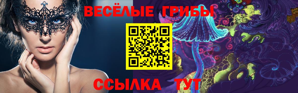 Галлюциногенные грибы Cubensis  Галлюциногенные грибы Psilocybine cubensis  Семилуки  Вход с VPN 